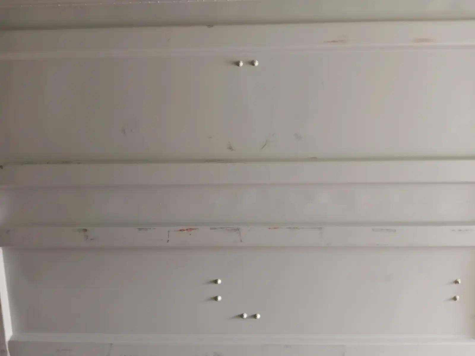 40ft High Cube Shipping Container w' Full Side Opening