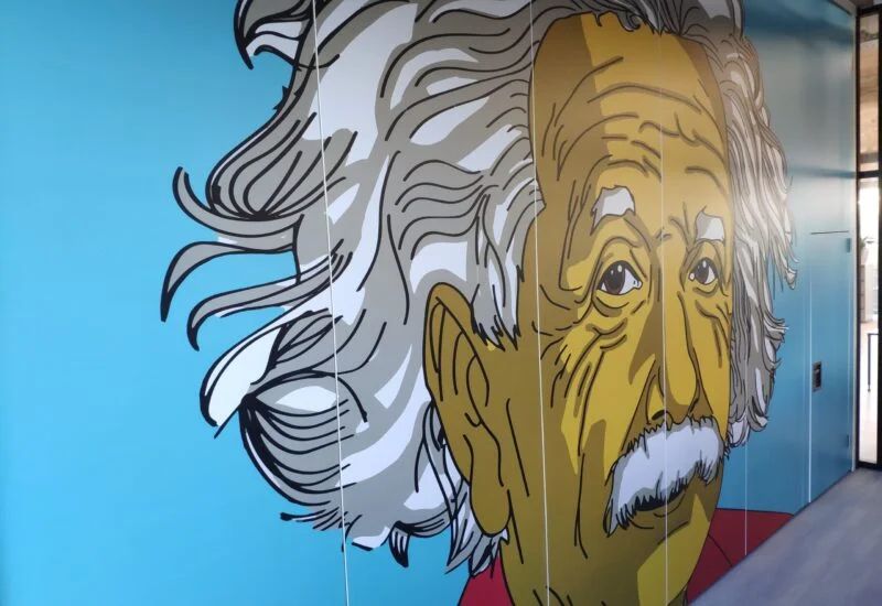 Mobiele paneelwand met custom print — Einstein-motief