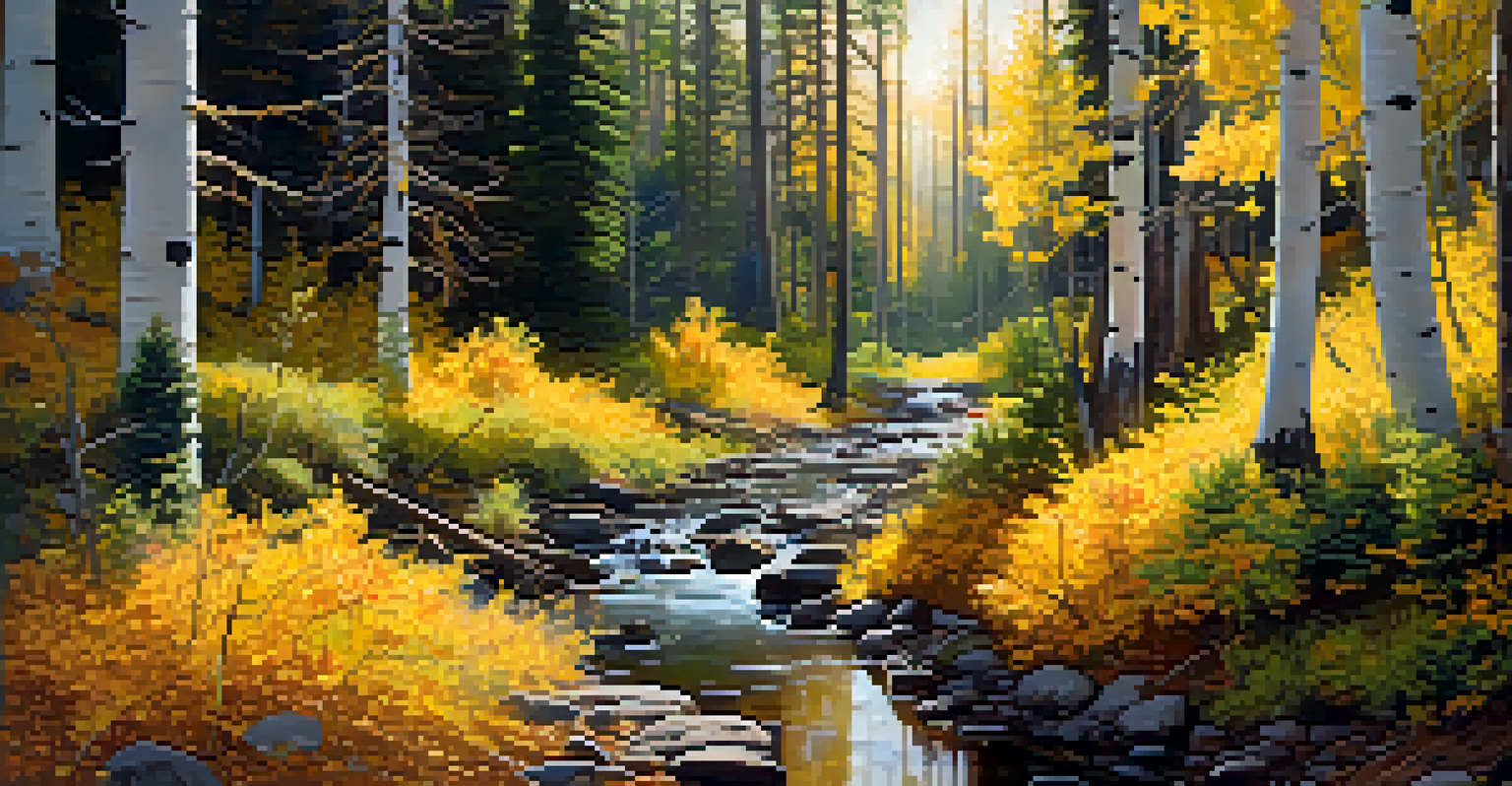 A beautiful forest in Utah during autumn, with tall pine and golden aspen trees and sunlight filtering through the leaves.