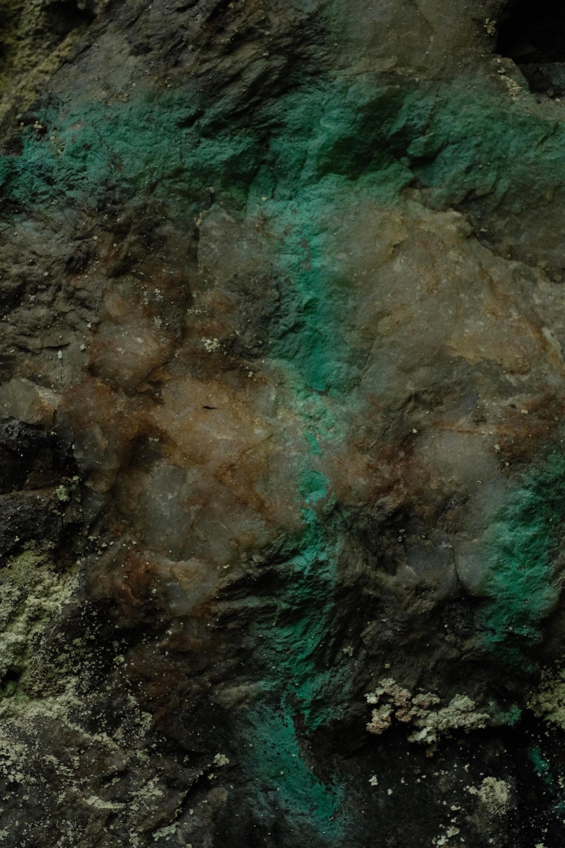 Ecdysis — image 2