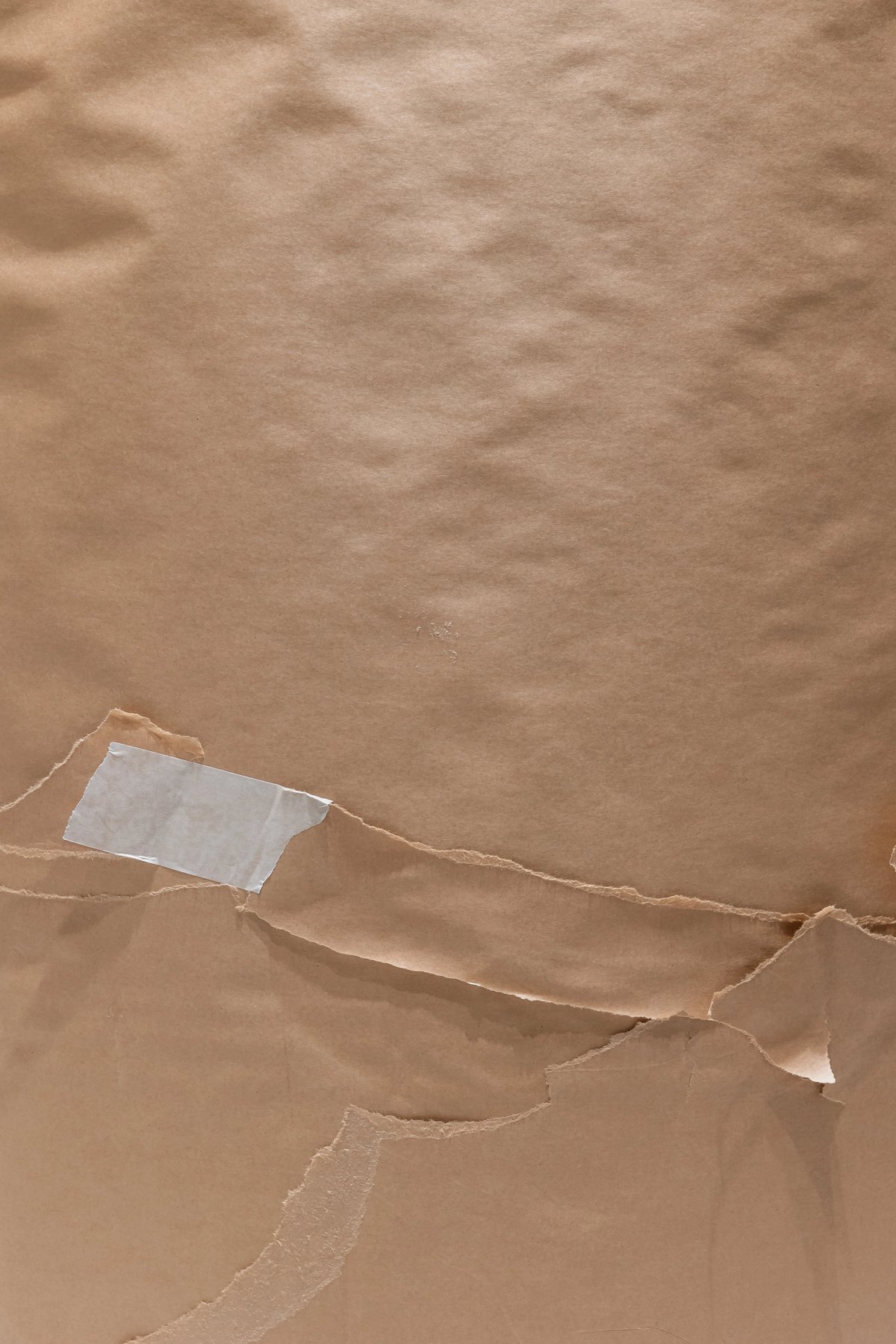 Illya Goldman Gubin + Sissel Tolaas — image 4