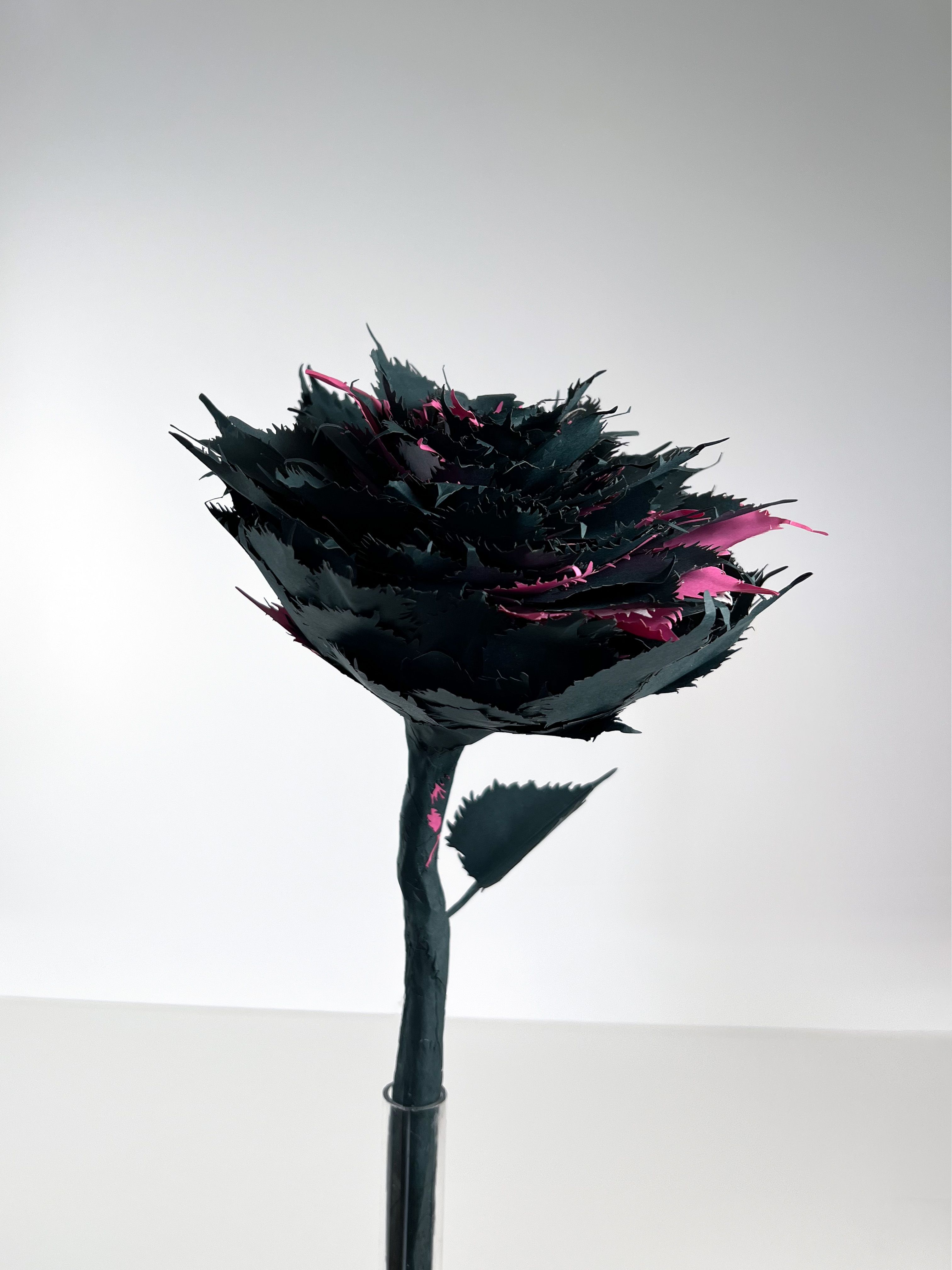 MARIEJEANNE — image 2