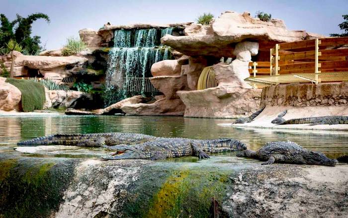 Crocoparc Agadir 4