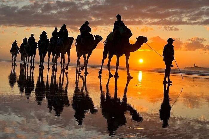 Camel Riding 2