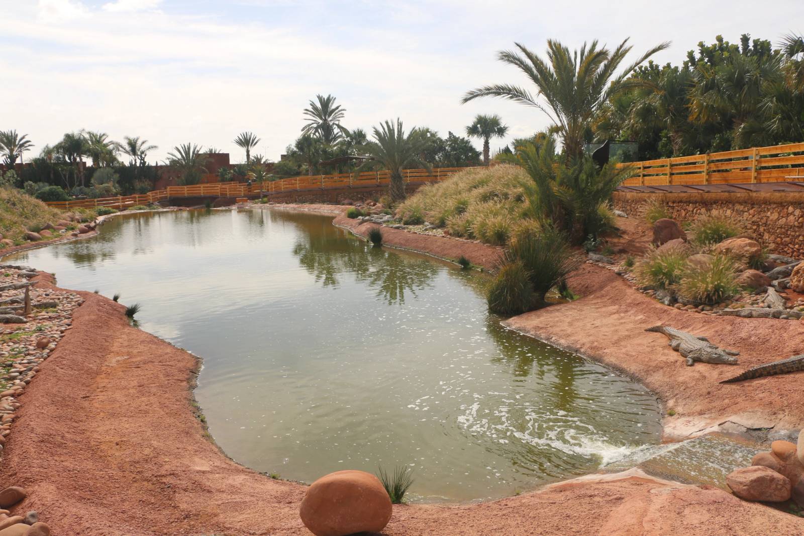 Crocoparc Agadir excursion from Agadir