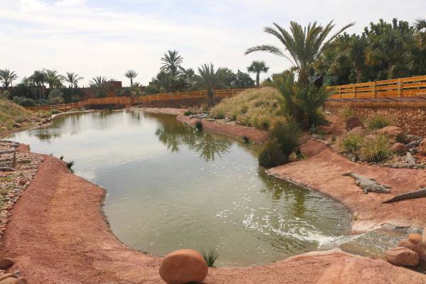 Agadir with Kids: The Family Travel Guide