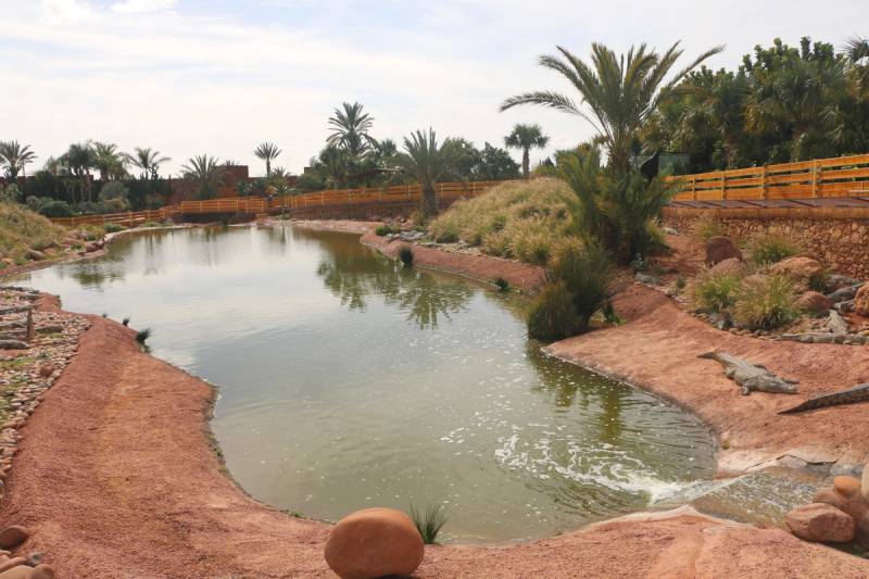Crocoparc Agadir