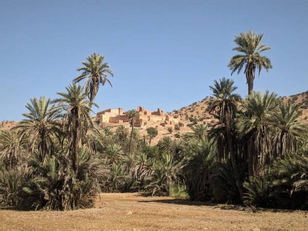 The Best Day Trips from Agadir, Compared