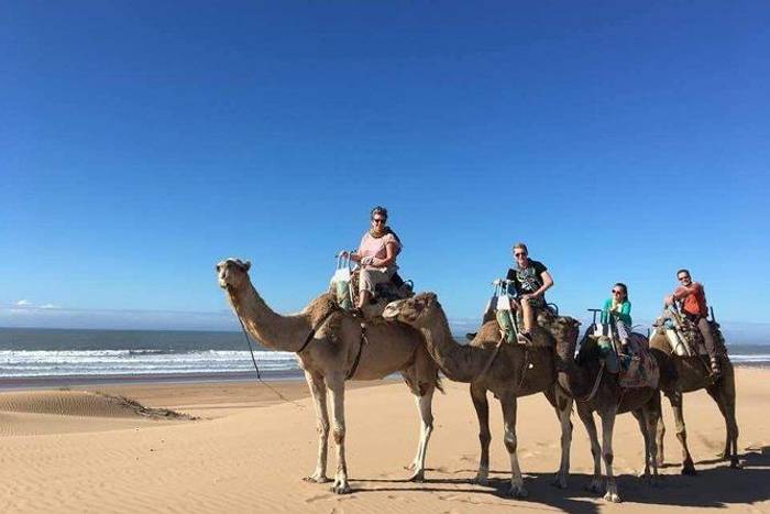 Camel Riding 1