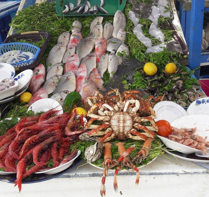 Agadir Boat Trip 3