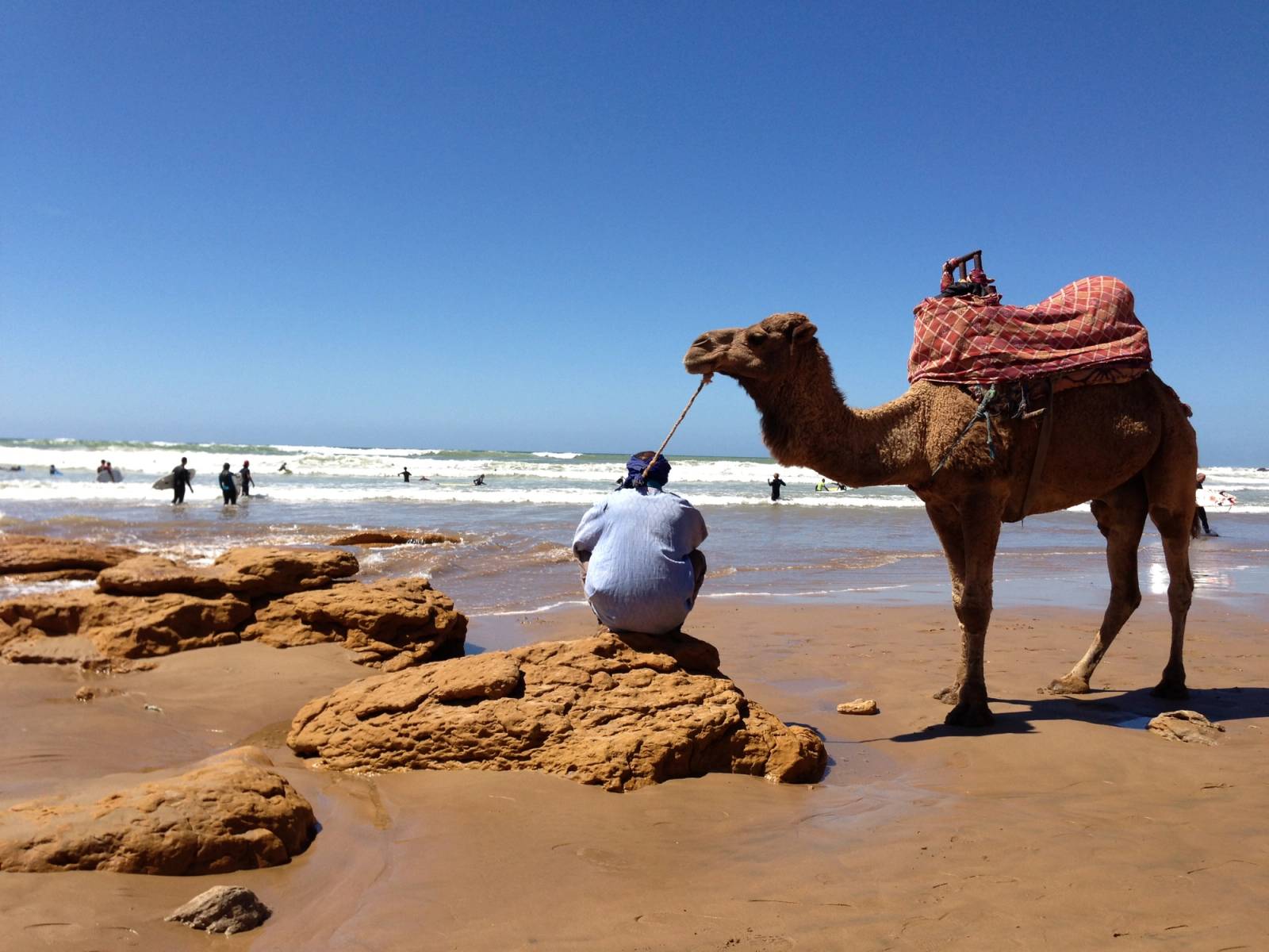 Camel Riding excursion from Agadir
