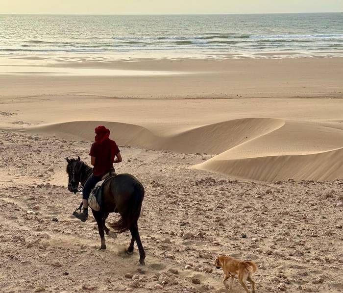 Horse Riding on the Beach 3