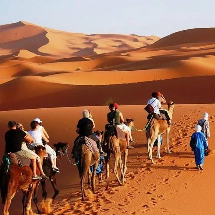Camel Riding 3