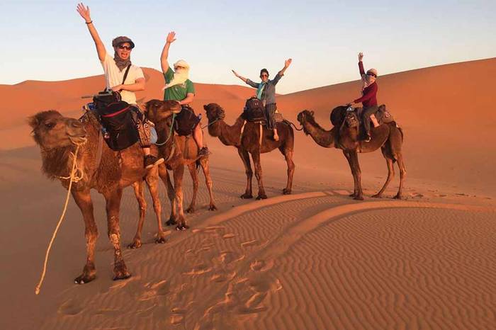Safari Desert: Mini Sahara 1