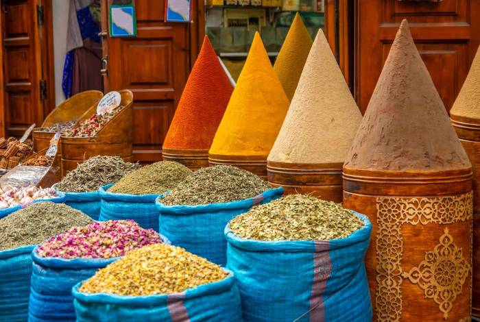 Marrakech Day Trip 3