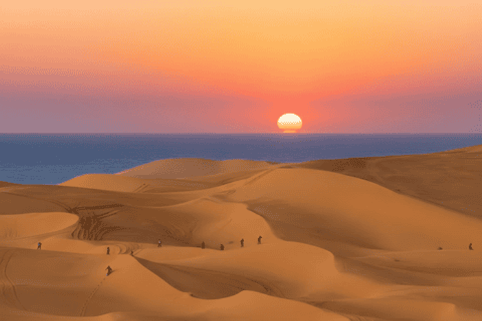 Sandboarding 4