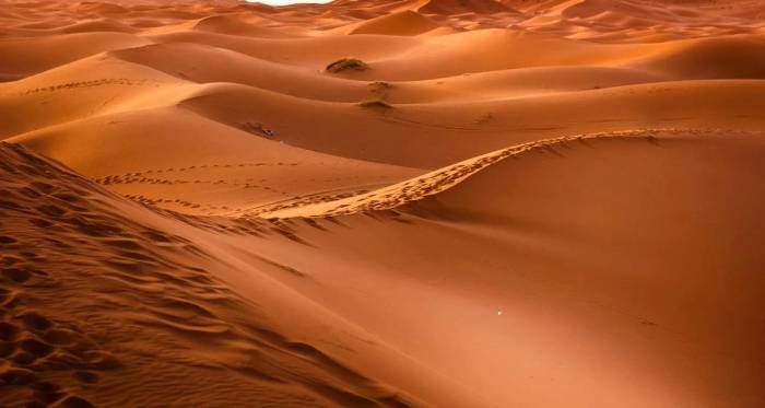 Safari Desert: Mini Sahara 2
