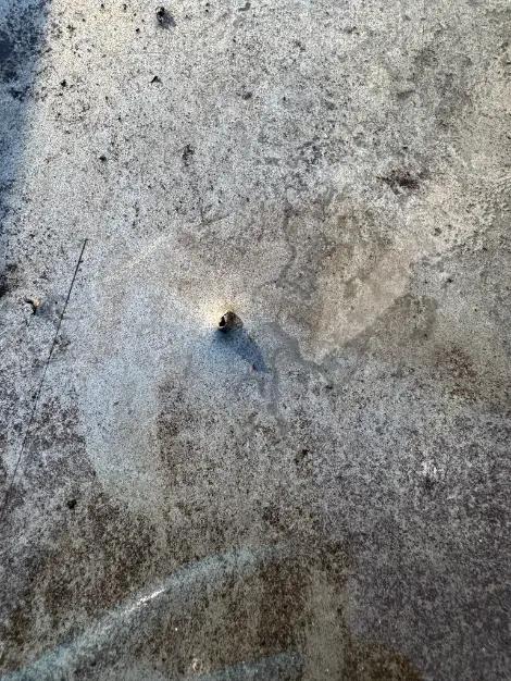 Dakgoten reinigen na - Dakgootreinging Sint-Annaplein in Gent