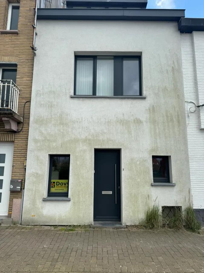 Crepi gevel van rijwoning in Gentbrugge vóór reiniging met groene aanslag