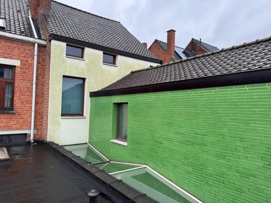 Crepi reinigen voor - Robert rinskopflaan in Gentbrugge