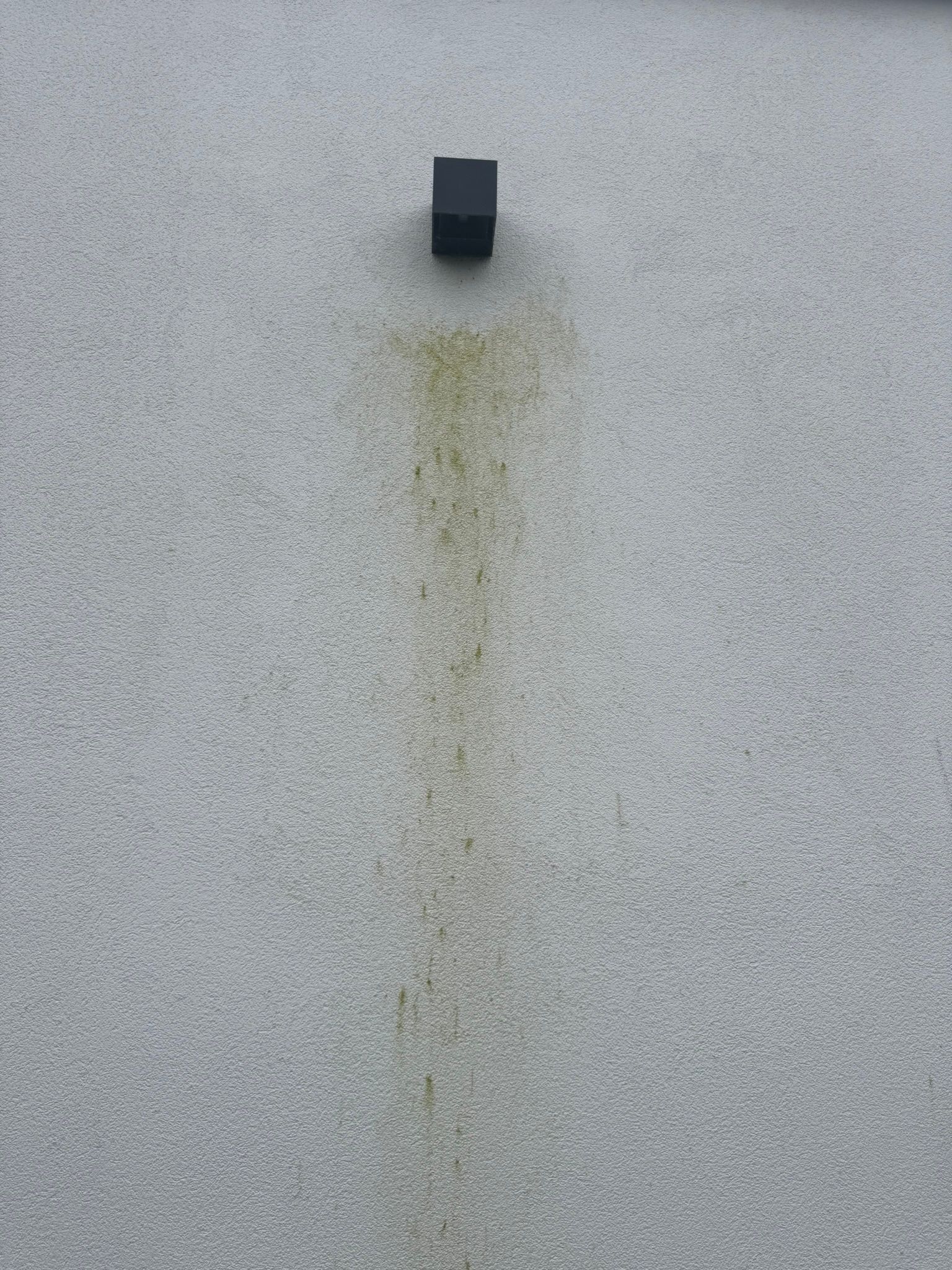 Witte crepi-gevel met zichtbare groen-gele druipstreep onder een zwarte wandlamp, veroorzaakt door regenwater dat vuil van de lamp meeneemt
