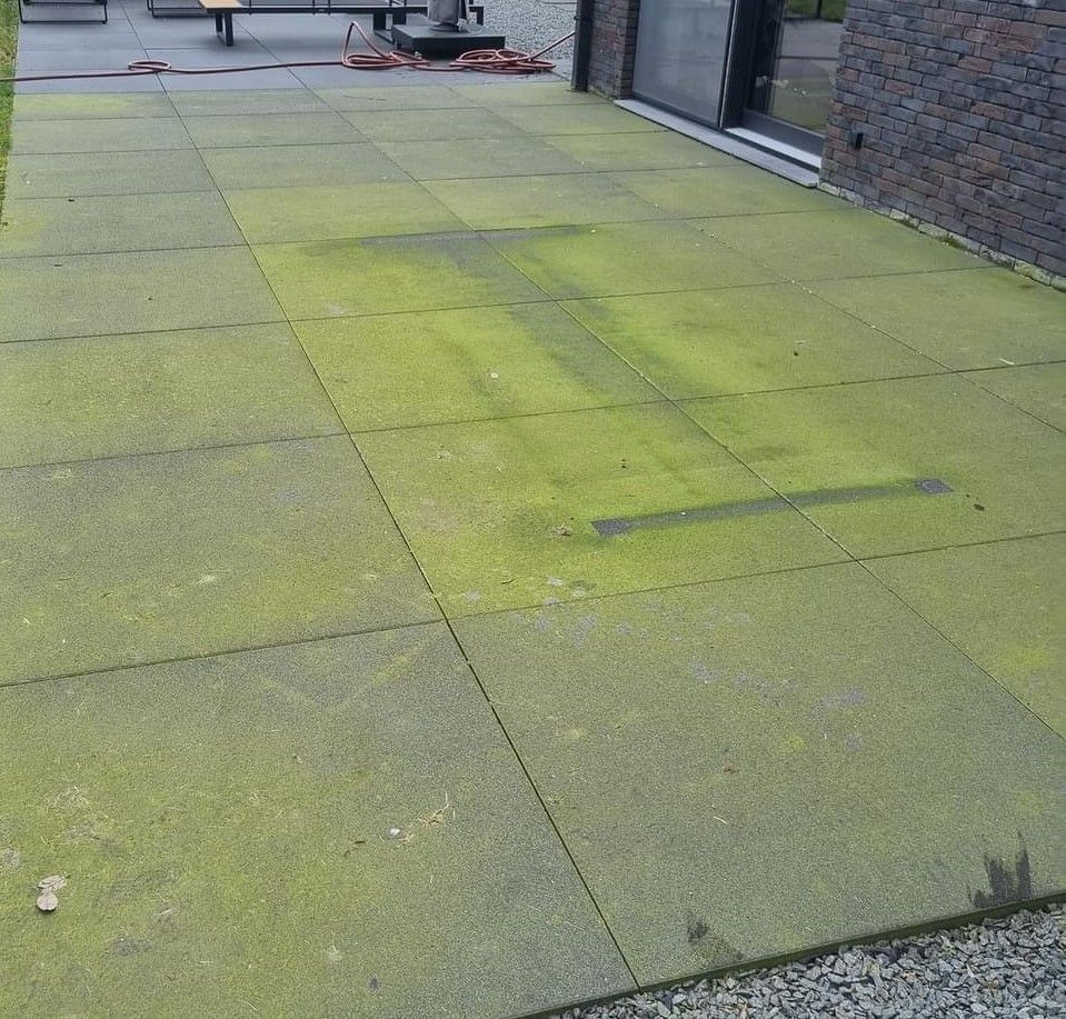 Groene aanslag & mos