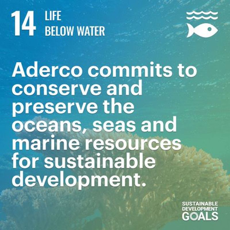 Sustainable Development Goal 14 (SDG 14)