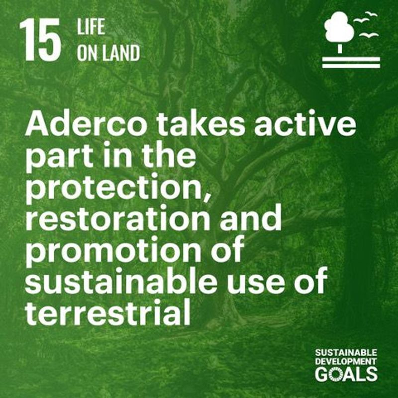 Sustainable Development Goal 15 (SDG 15)
