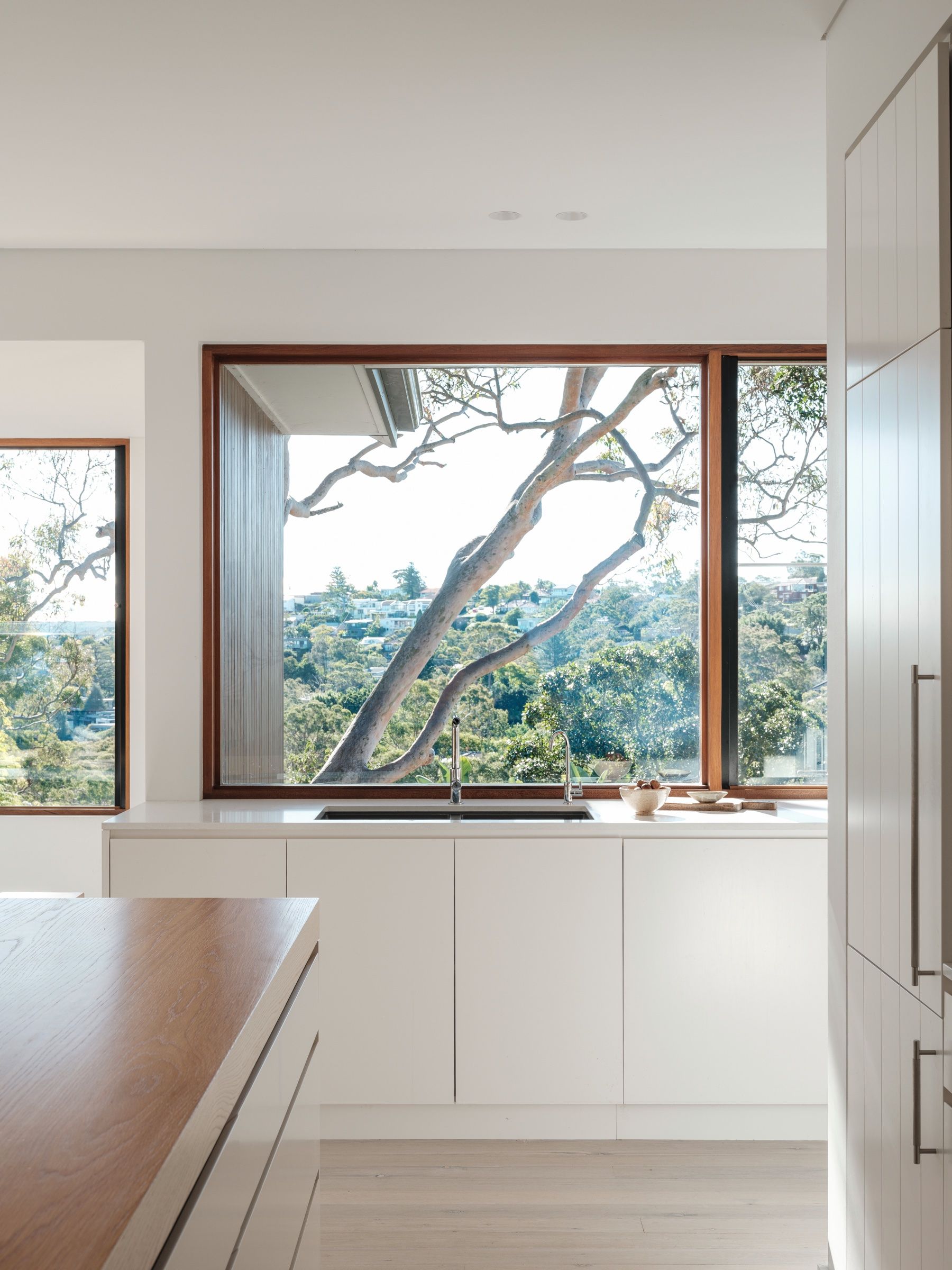 A picture window over the kitchen bench framing the gum canopy beyond