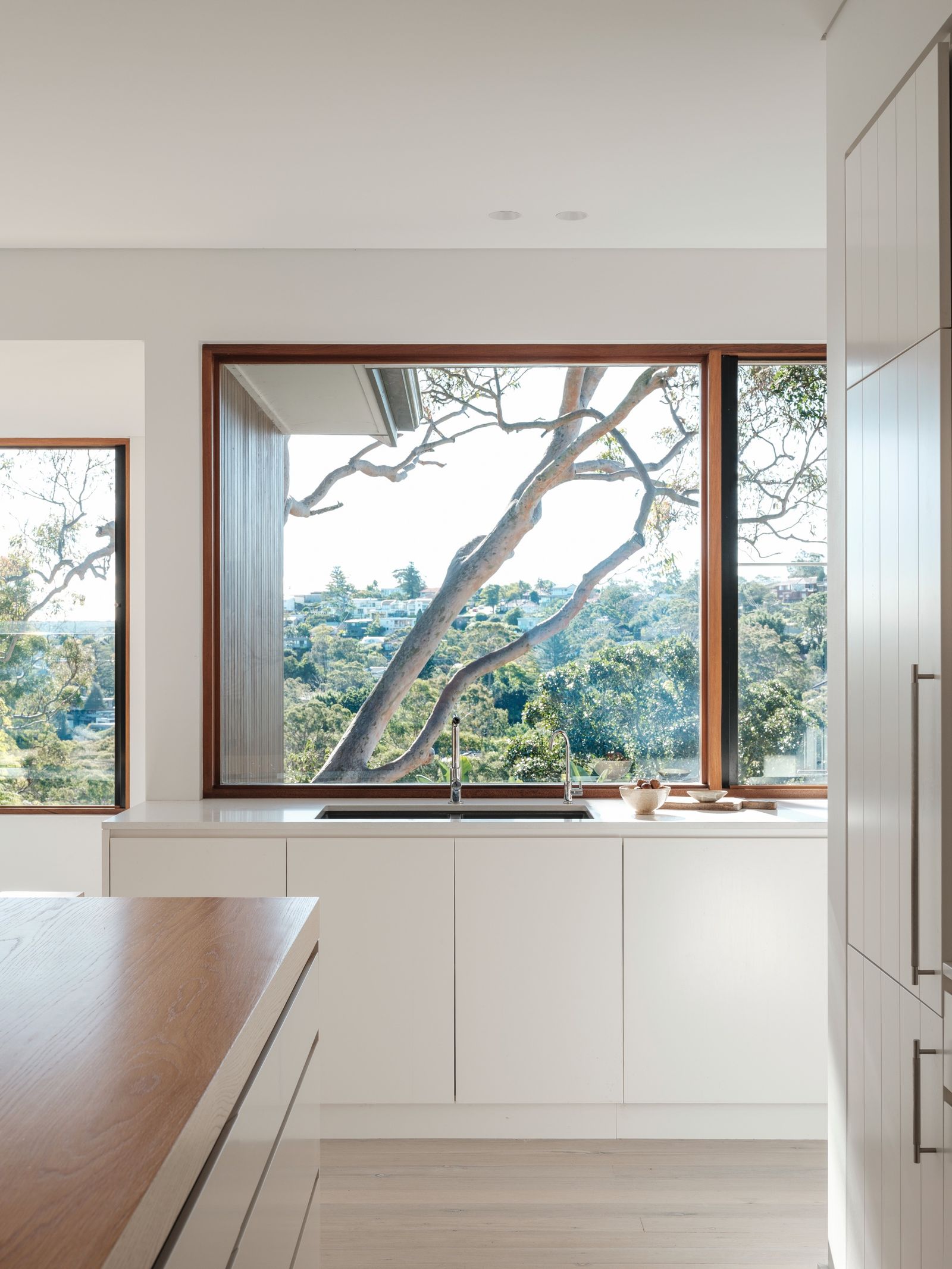 A picture window over the kitchen bench framing the gum canopy beyond