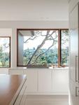 A picture window over the kitchen bench framing the gum canopy beyond