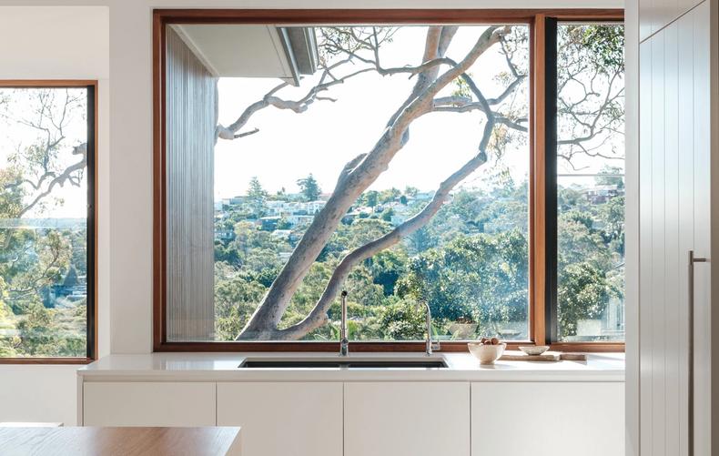 A picture window over the kitchen bench framing the gum canopy beyond