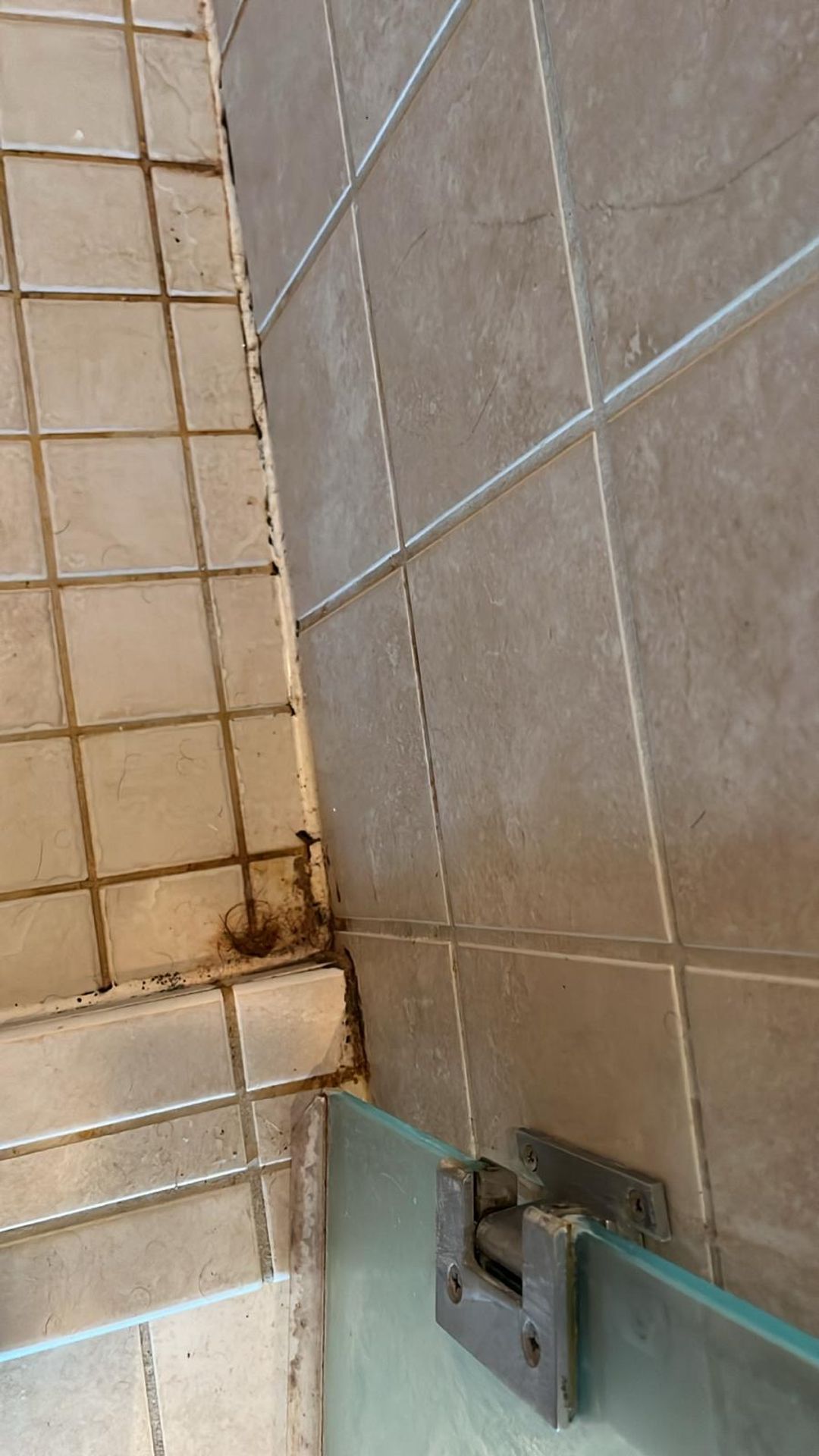 Sisters Home Cleaning Image
