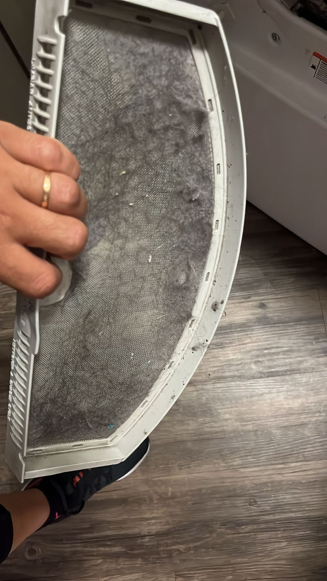 Sisters Home Cleaning Image