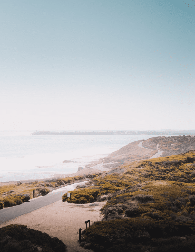 Portsea coastline