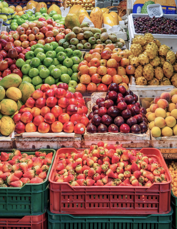 Its rich cultural tapestry and diverse population create a vibrant community that appeals to both young professionals and families.