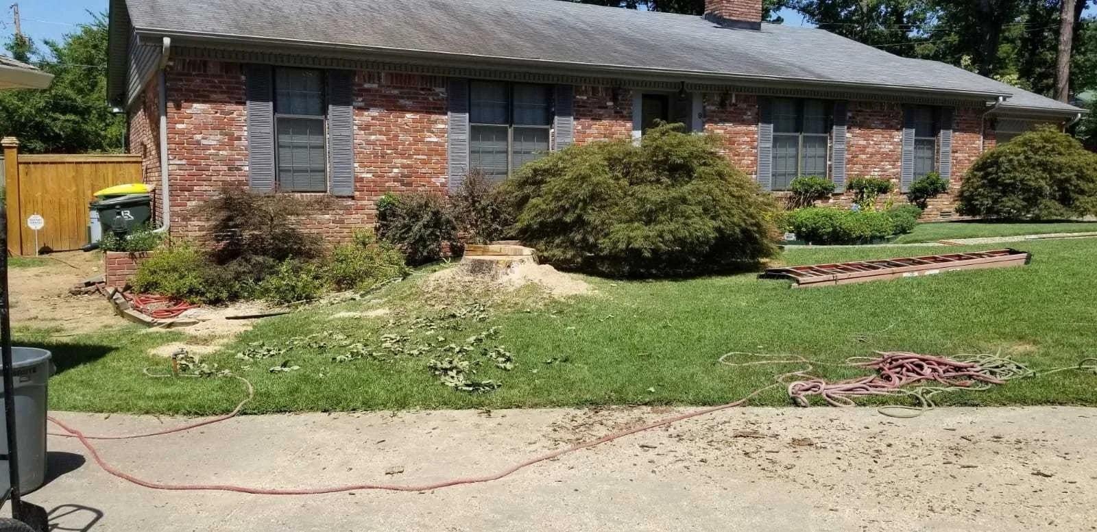 Francisco's Tree Services | Other Services | Little Rock | 2