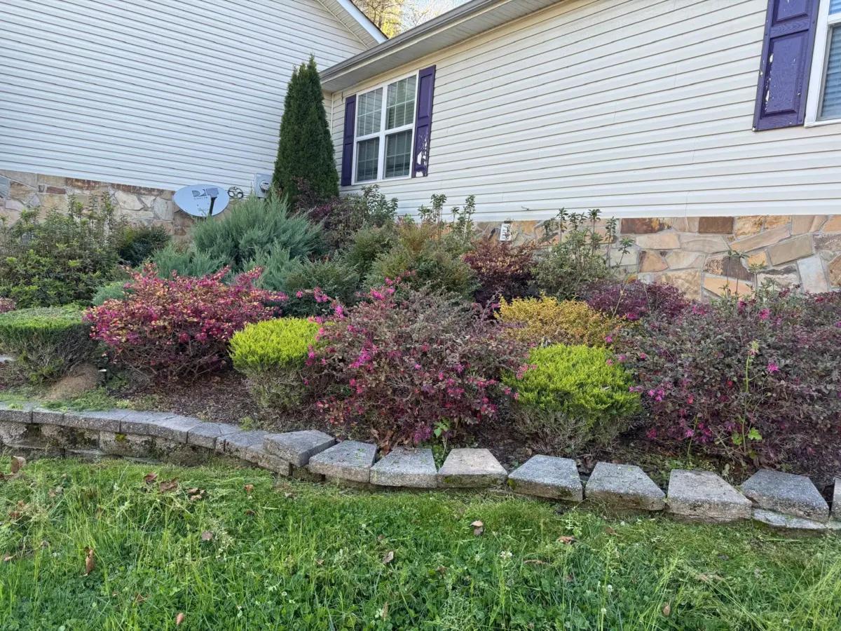 Diaz Lawn Care And Landscaping | Other Services | Chattanooga | 3