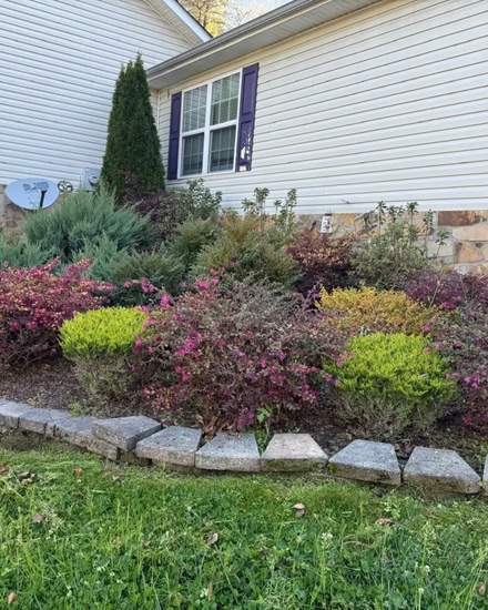 Diaz Lawn Care And Landscaping | Other Services | Chattanooga | 3