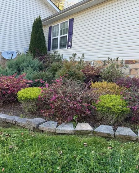 Diaz Lawn Care And Landscaping | Other Services | Chattanooga | 4