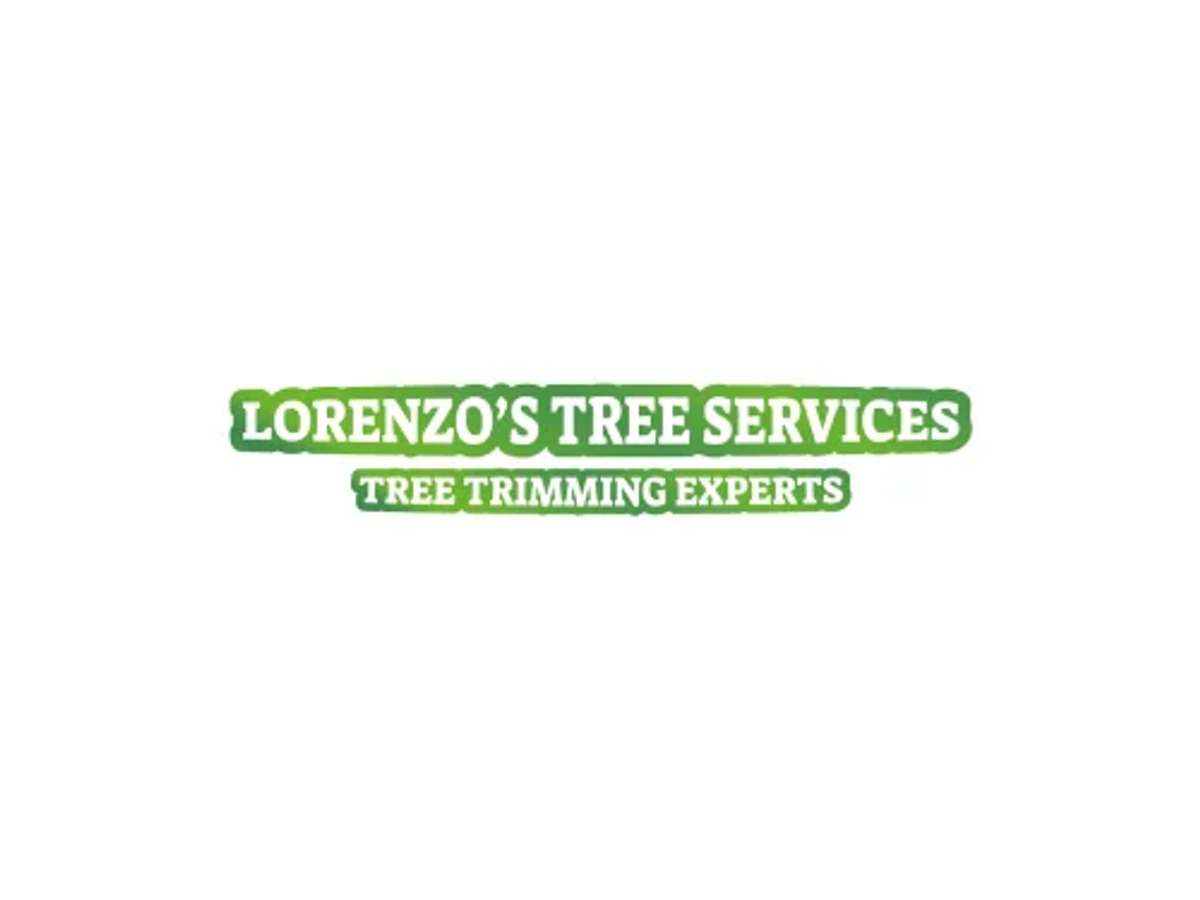 Lorenzo's Tree Services Ontario CA | Other Services | Los Angeles | Ad gallery (SEO) | 2