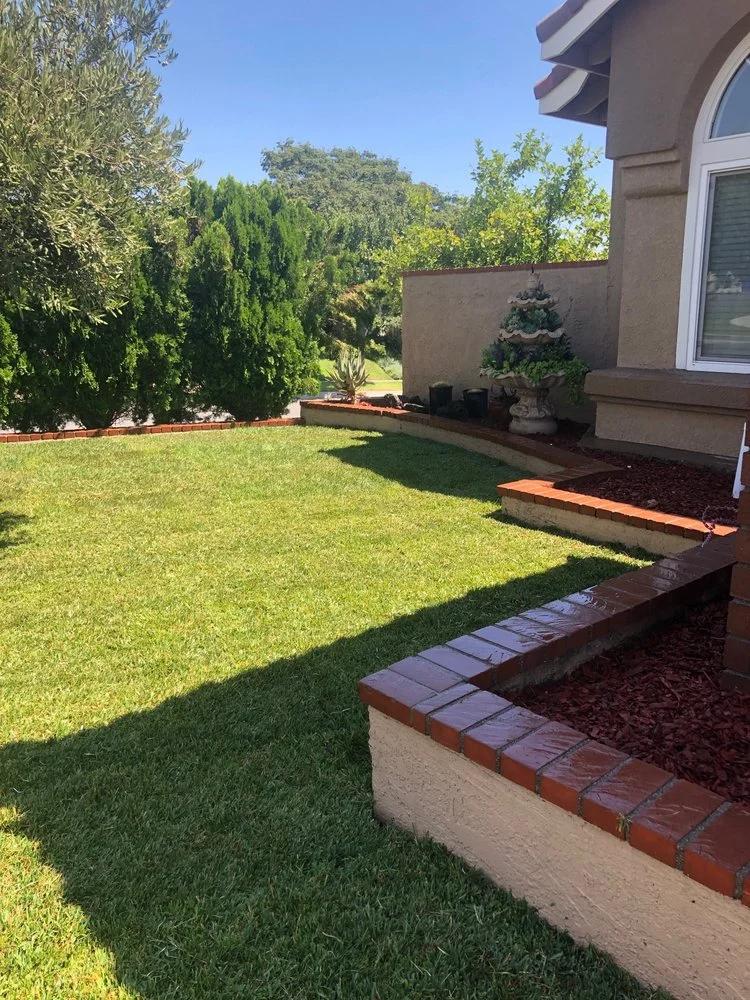 Lorenzo's Tree Services Ontario CA | Other Services | Los Angeles | 3
