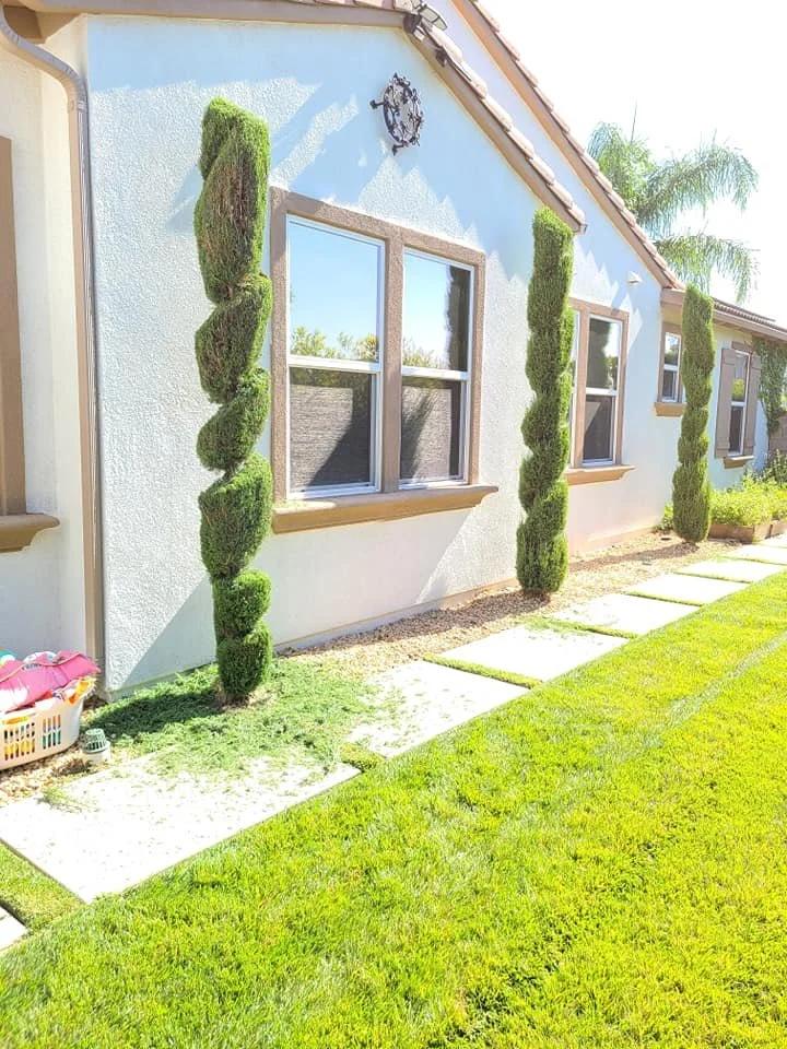 Lorenzo's Tree Services Ontario CA | Other Services | Los Angeles | 6