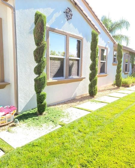 Lorenzo's Tree Services Ontario CA | Other Services | Los Angeles | 6