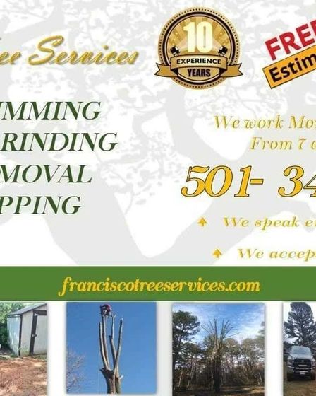 Francisco's Tree Services | Other Services | Little Rock | 5