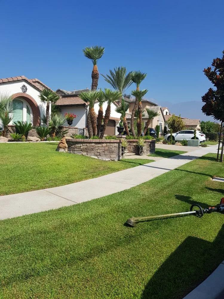 Lorenzo's Tree Services Ontario CA | Other Services | Los Angeles | 5