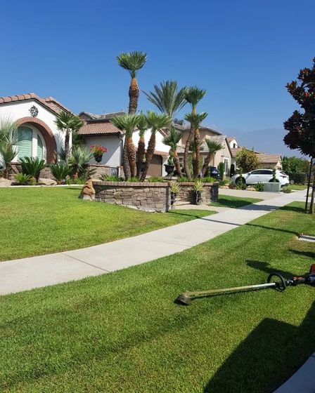 Lorenzo's Tree Services Ontario CA | Other Services | Los Angeles | 5