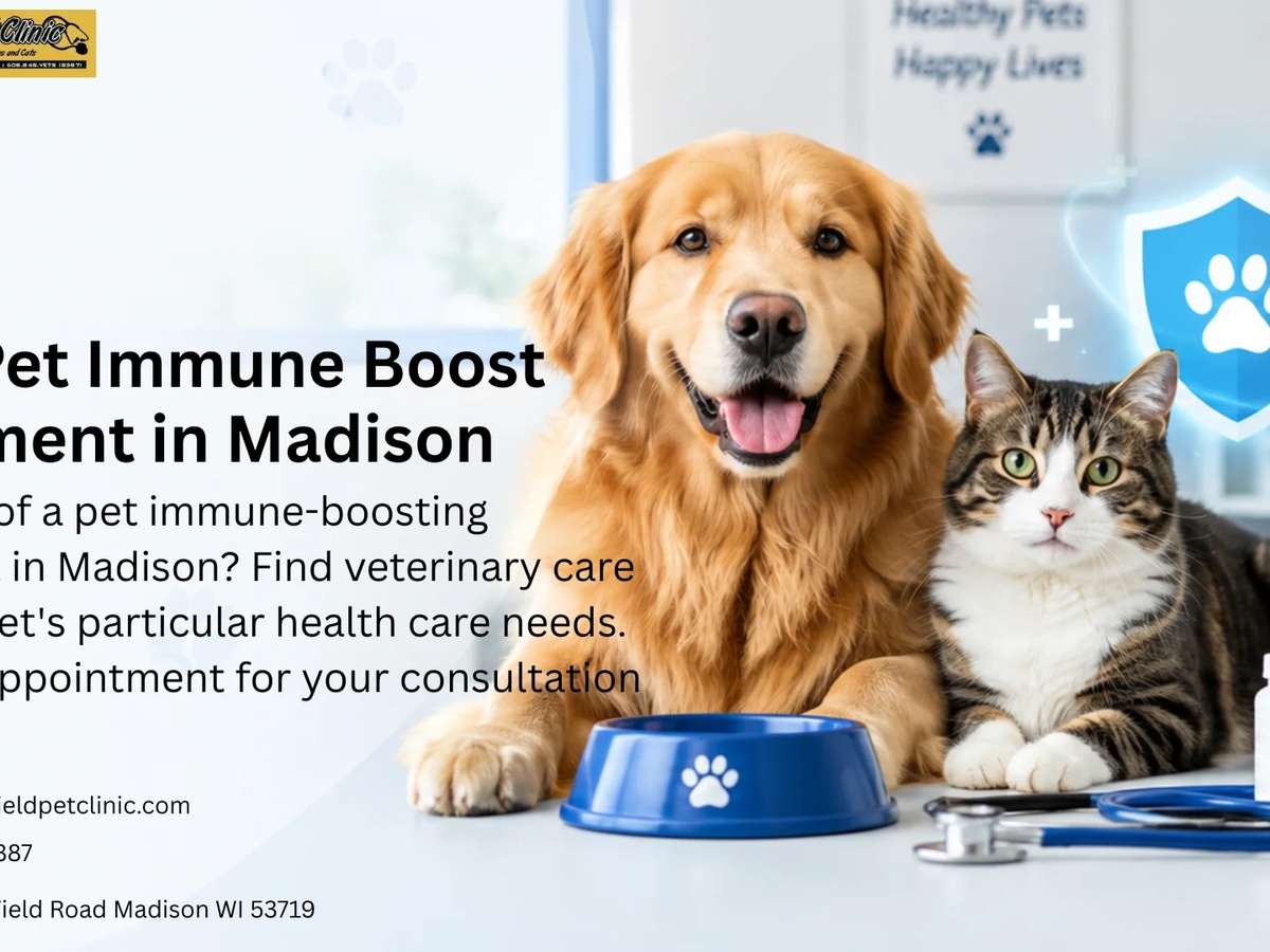 Best Pet Immune Boost Treatment in Madison | Get Care | Veterinary Services | Madison | Ad gallery (SEO) | 2