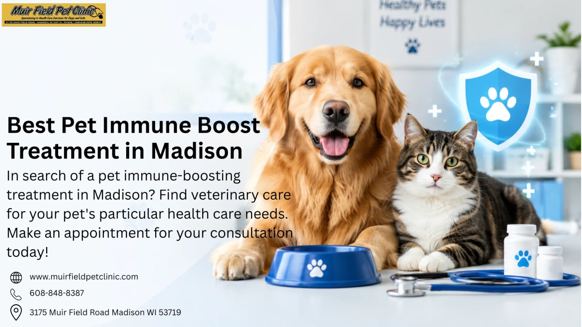 Best Pet Immune Boost Treatment in Madison | Get Care | Veterinary Services | Madison | Ad gallery (SEO) | 3