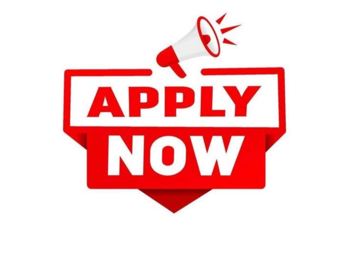 Work from home (REMOTE JOB) | Other areas of activity | New York City | Ad gallery (SEO) | 2